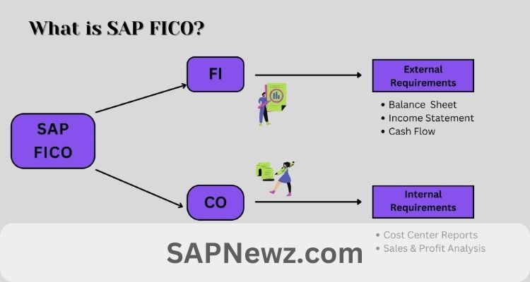 SAP FICO